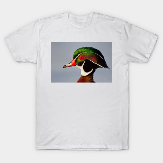 Colours of a Wood Duck T-Shirt by Jim Cumming